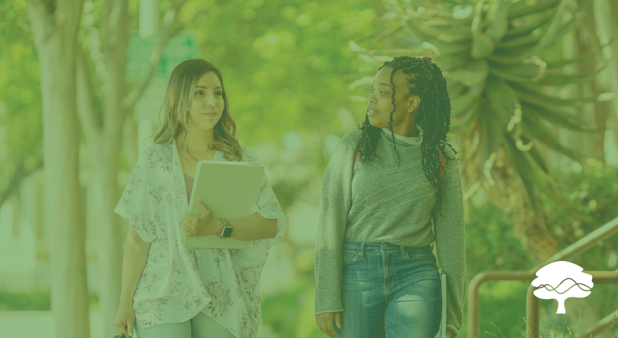 Two students holding books talk while walking down outdoor path