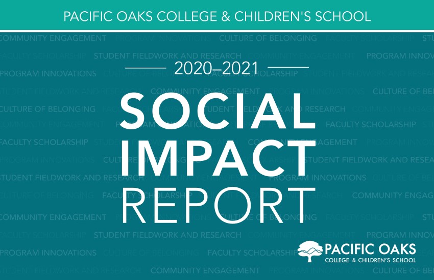 social_imapact_report